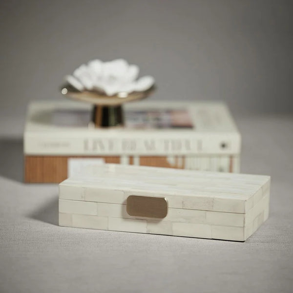 White Bone Design Box with Brass Knob