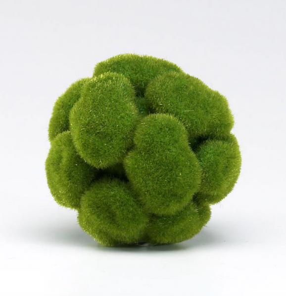 Moss Balls