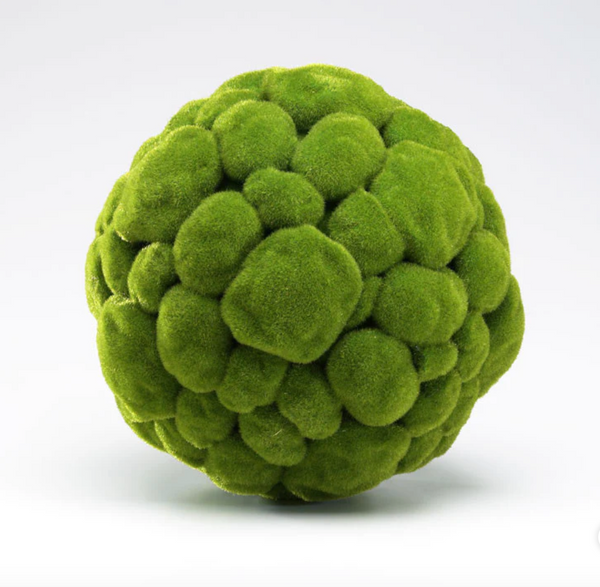 Moss Balls