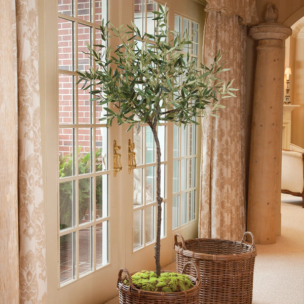 Olive Tree Drop-In 69”