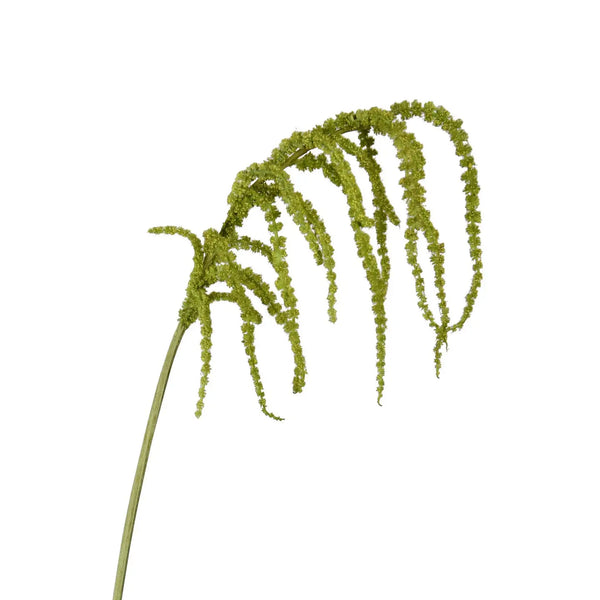 Amaranthus Hanging Spray - 39"