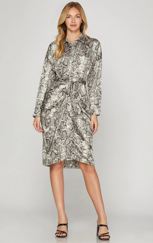 Snake Print Dress