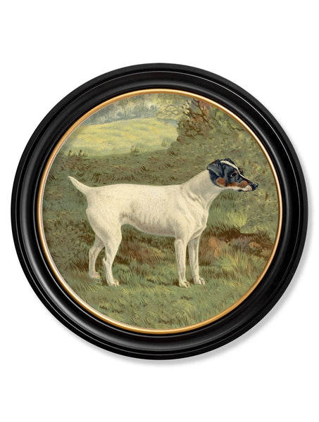 C.1881 Terriers - Round Frame - Set of two