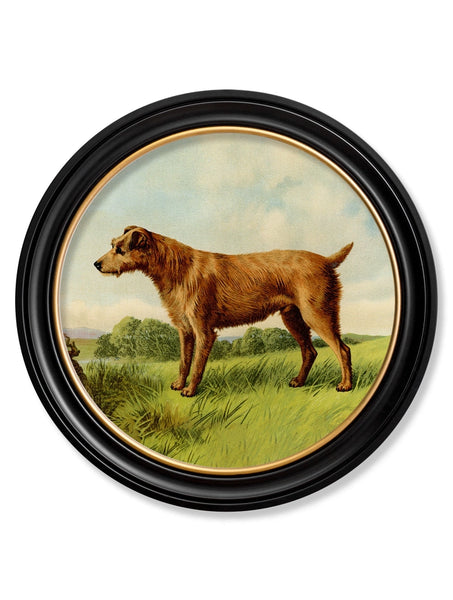 C.1881 Terriers - Round Frame - Set of two