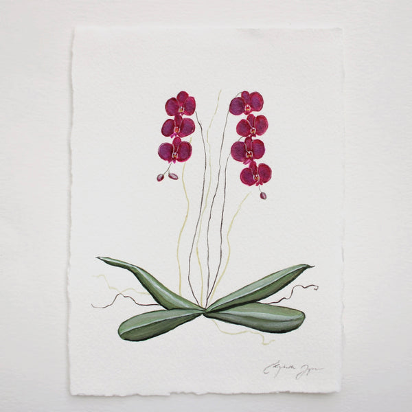 "Dancing Orchids" by Elizabeth Walker