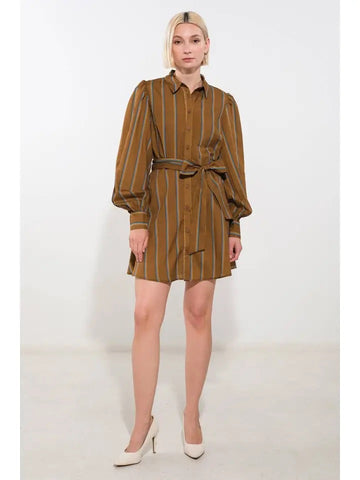 Dee Shirt Dress