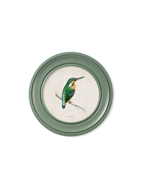 C.1870 Kingfisher and Bee Eater - Round Frame Green - Pair of 2