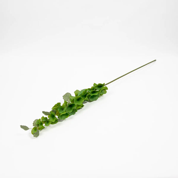 Bells of Ireland Stem - 37"