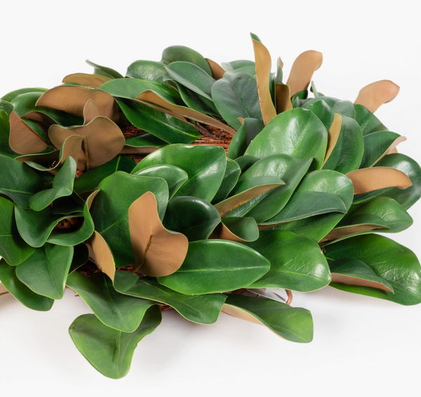 Magnolia Leaf Wreath - 23 Inch