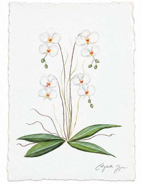 Hand Painted Floral Card