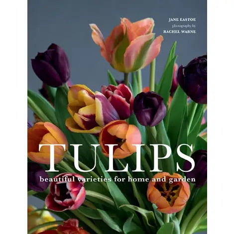 Tulips: Beautiful Varieties For Home and Garden