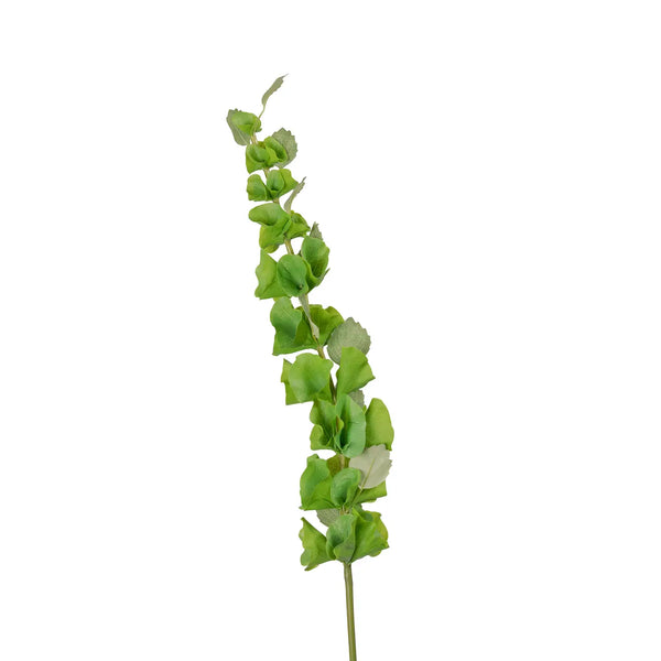 Bells of Ireland Stem - 37"