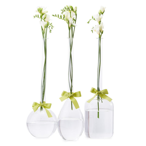 Sleek & Chic Long-Neck Vase