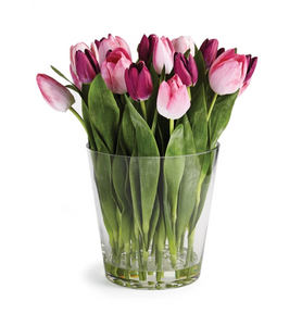 Dutch Tulip Arrangement in Vase