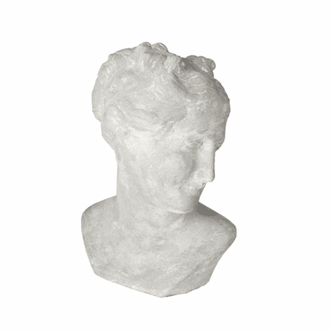 Venus Pompeii Bust