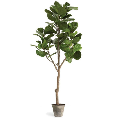 Fida French Country Green Fiddle Leaf Brown Clay Potted Fig Tree